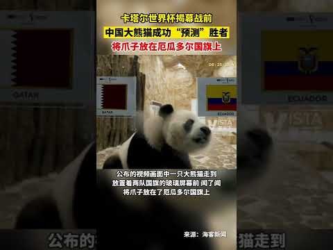 阿凡达,全球票房飙,首周进账,227皇冠,227Crown,227皇冠体育官网,227皇冠官网,227皇冠体育下载